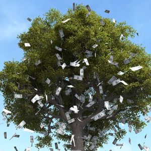 Wealth Builder
